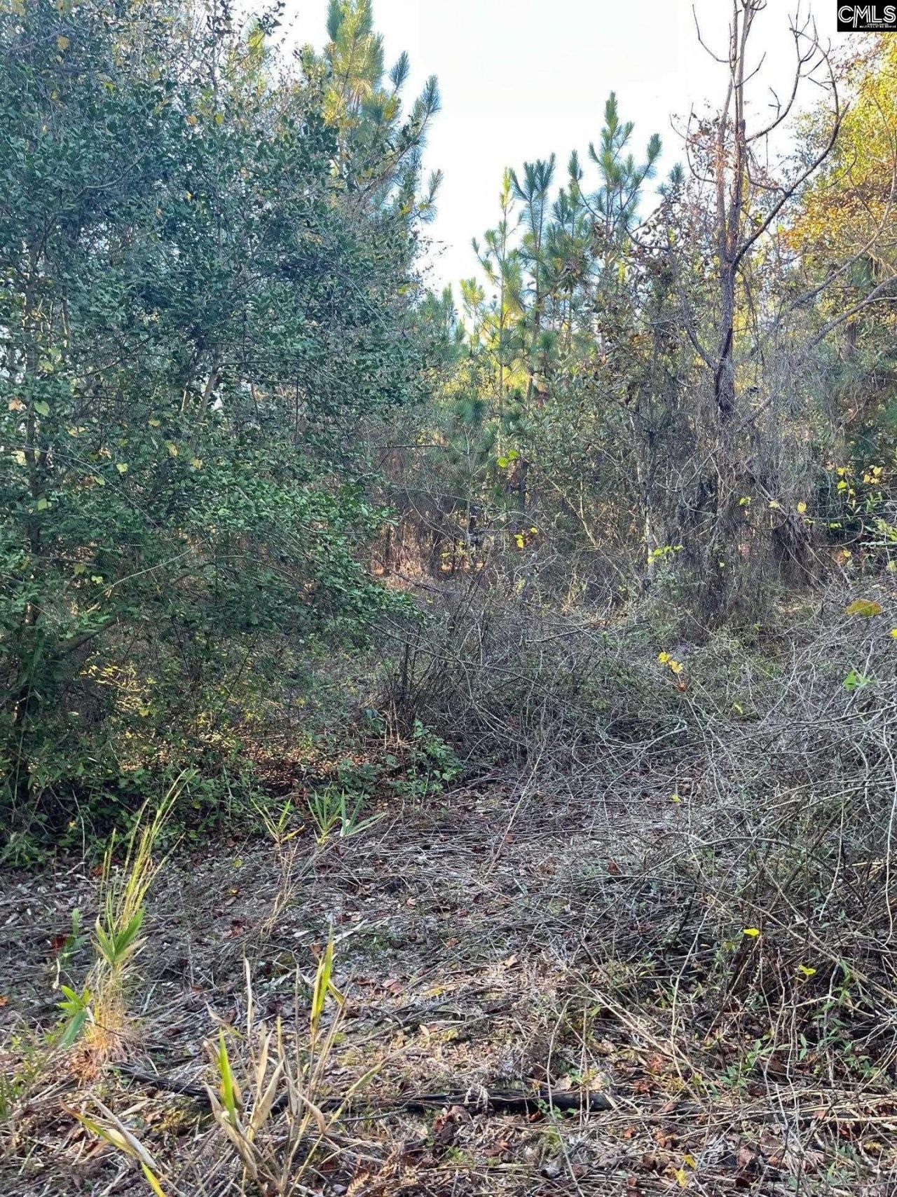 Ppf 12 Payne Pond Road  Photo 9