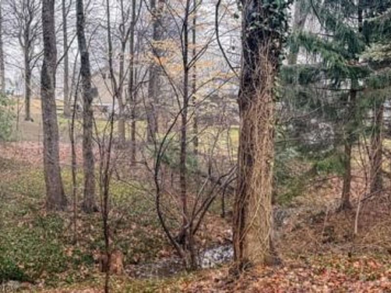 187 Park Court, Wadsworth, OH 44281 Photo 24