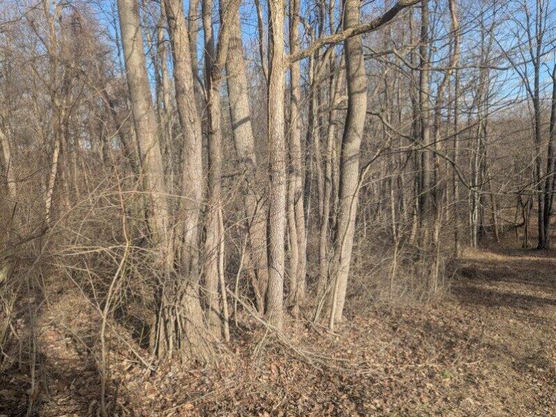 0 Township Road 215 , New Lexington, OH 43764 Photo 6