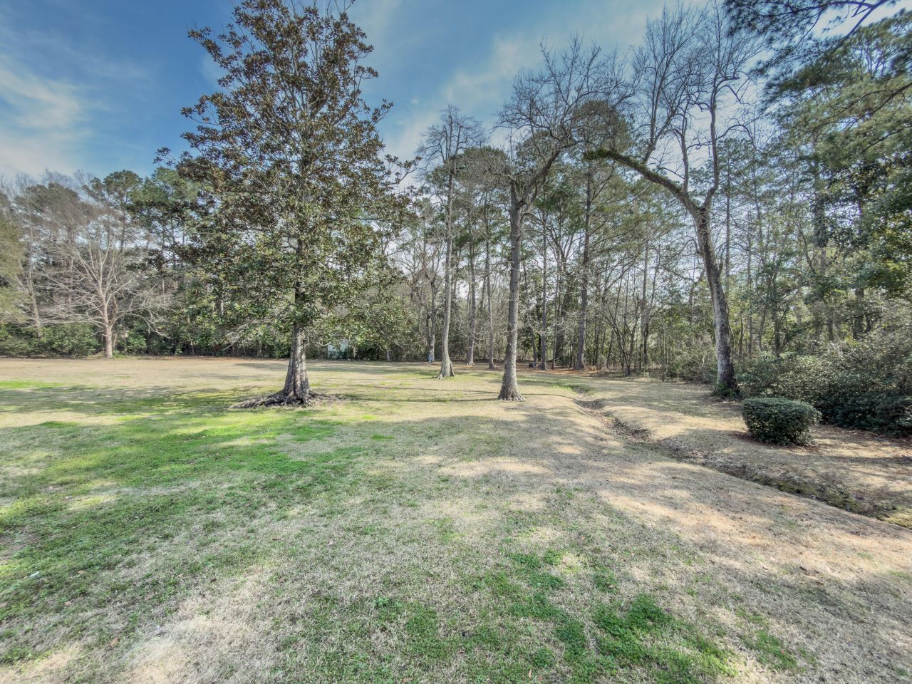 209 S Hampton Street Photo 18