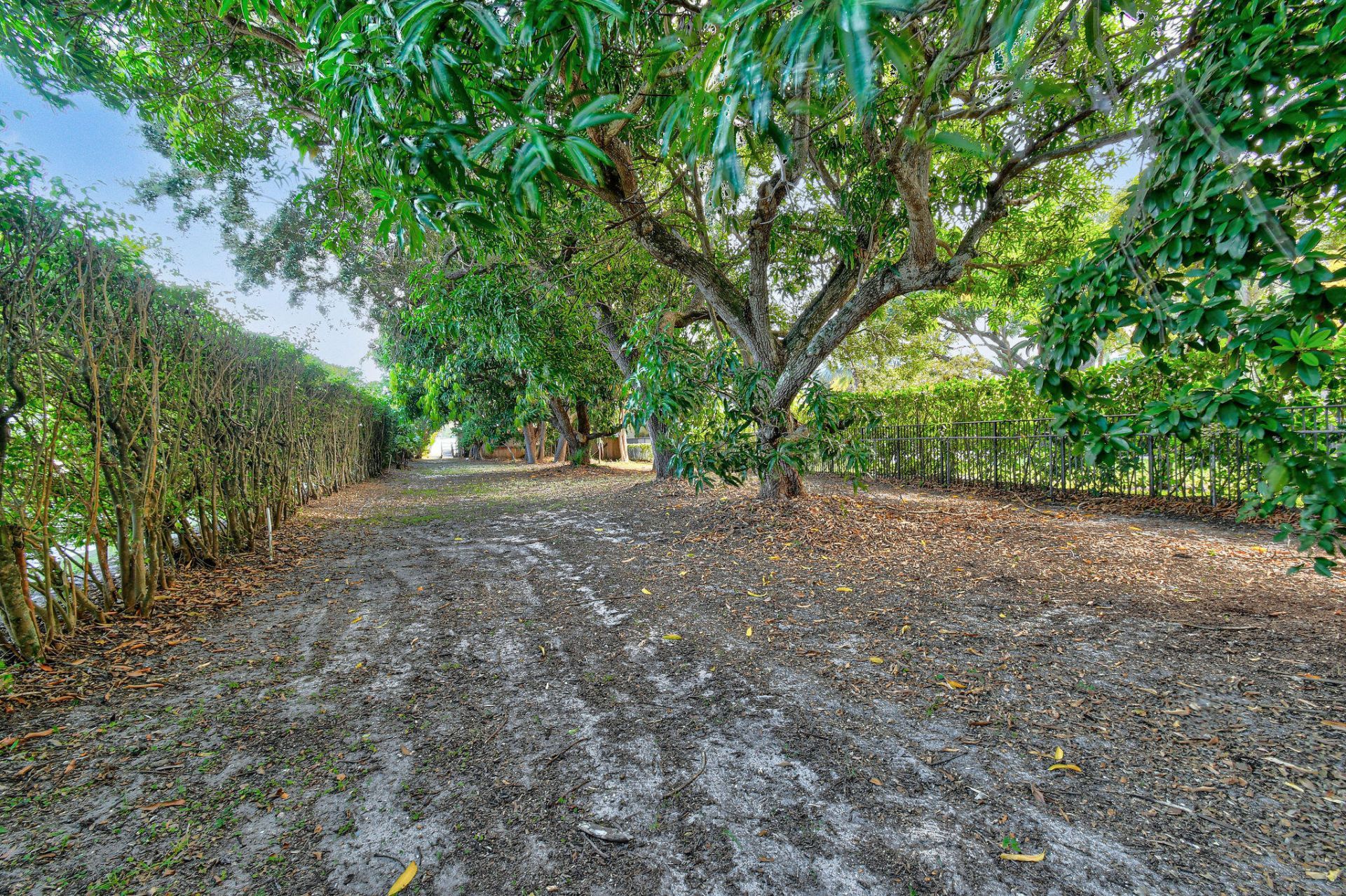 114 W Riverside Drive, Jupiter, FL 33469 Photo