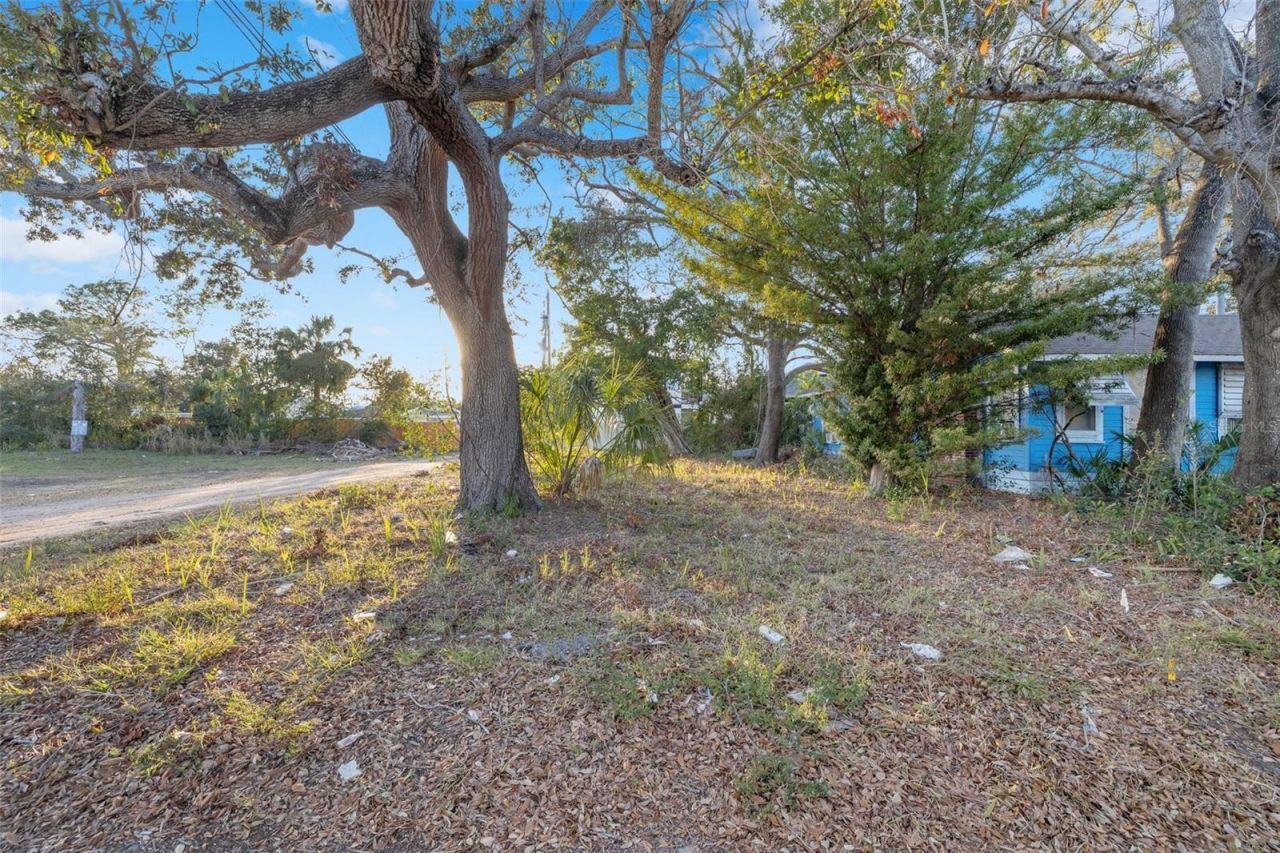 28th Street S, Saint Petersburg, FL 33712 Photo