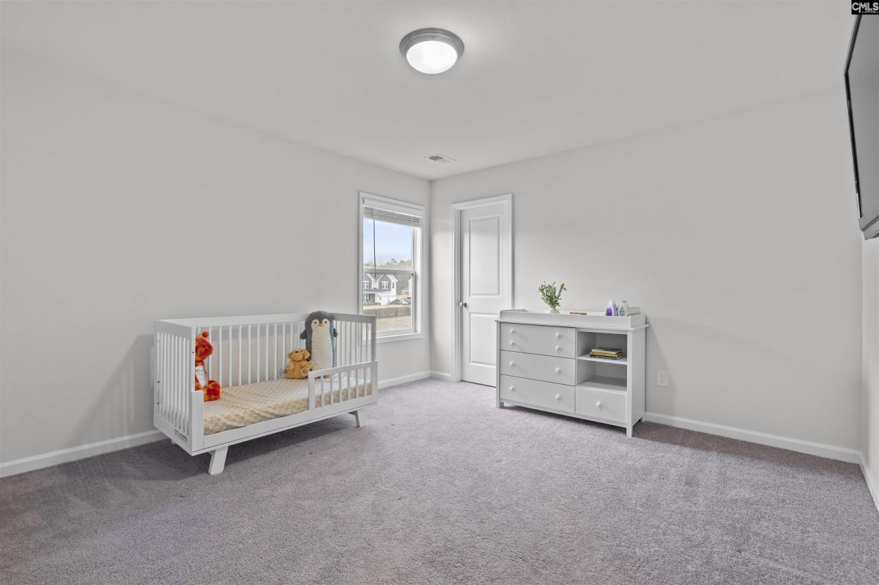 207 Belfast Way  Photo 27