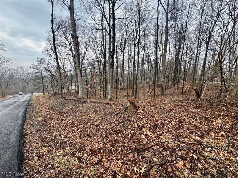 Forest Lane, Nashport, OH 43830 Photo 3