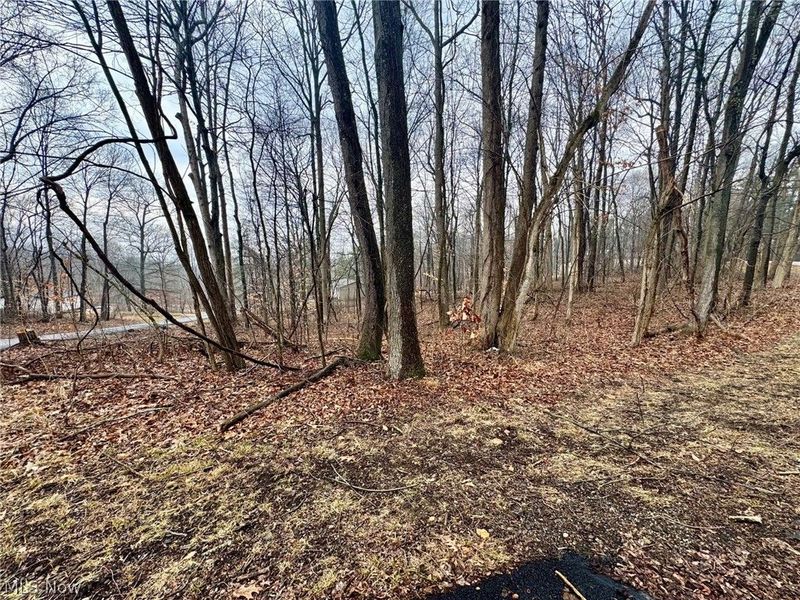 Forest Lane, Nashport, OH 43830 Photo 4