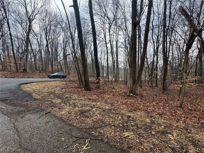 Forest Lane, Nashport, OH 43830 Photo 5