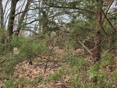 146 Boxelder Drive, Linn Valley, KS 66040