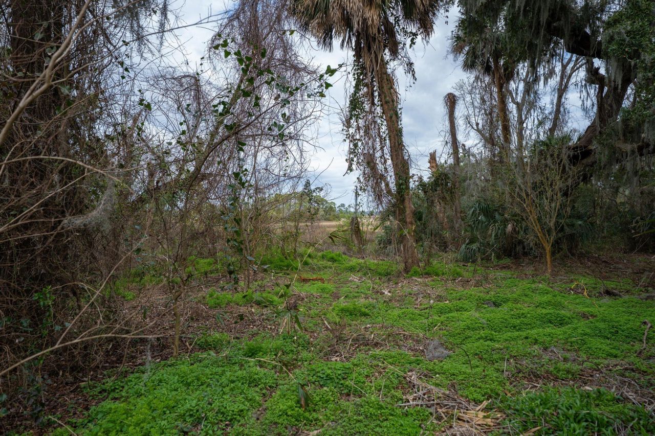 13 Sassafras Lane Photo 19