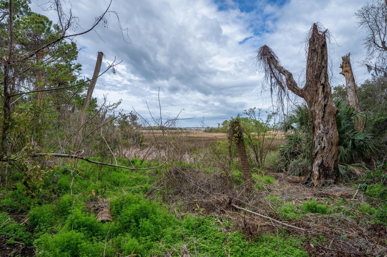 13 Sassafras Lane Photo 20