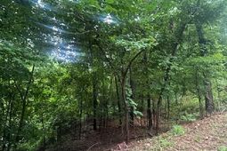 308 Bryars Court  photo 4