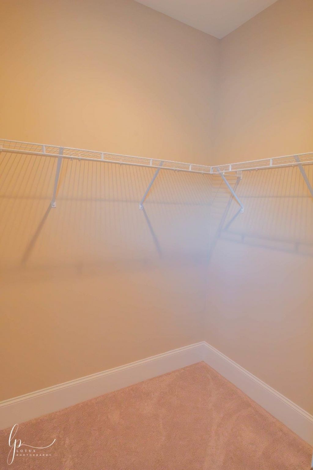 1803 Wood Stork Dr.  Photo 18