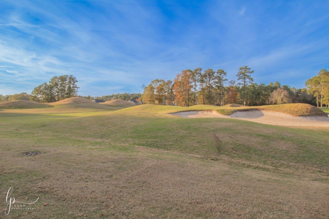 1803 Wood Stork Dr.  Photo 30