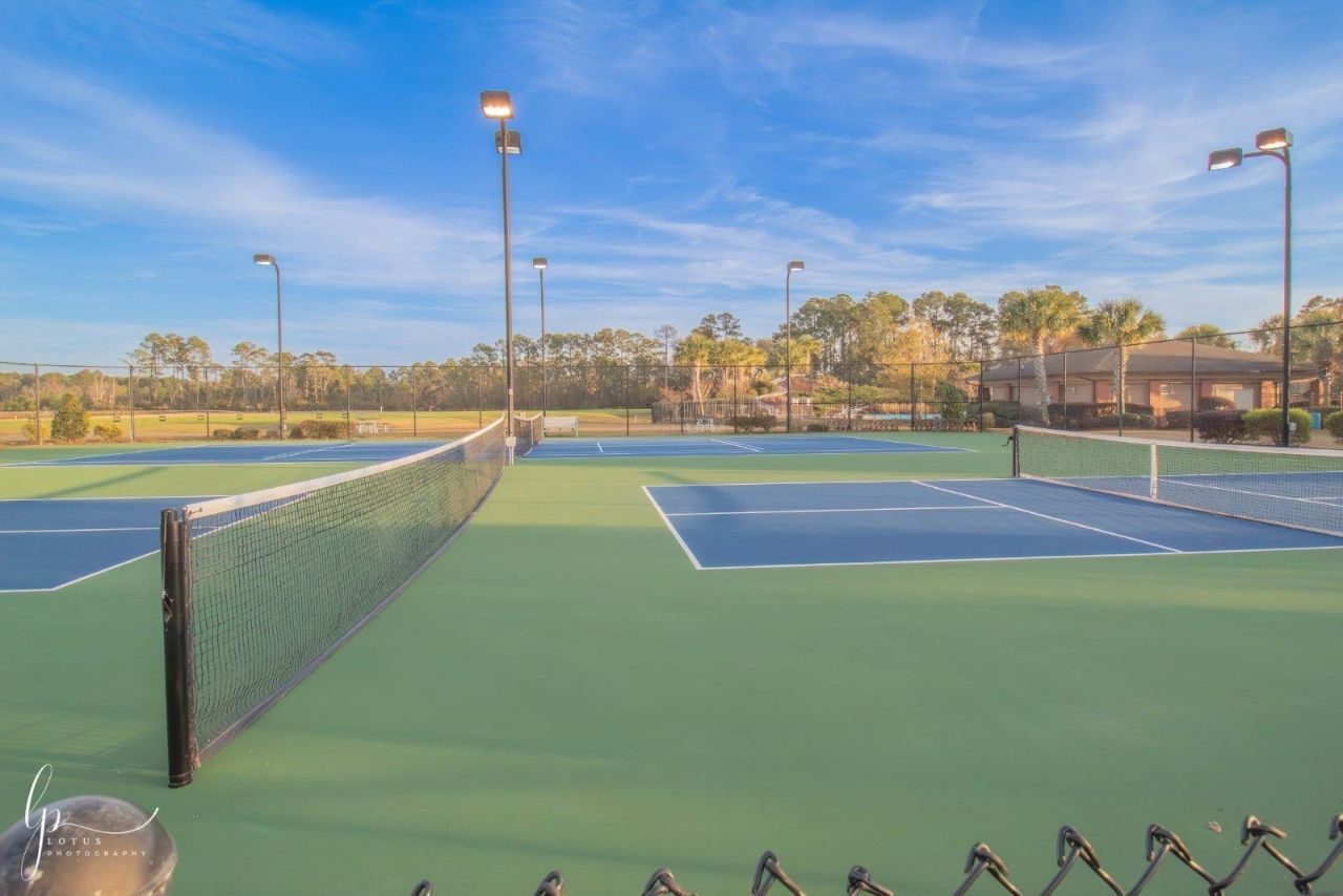 1803 Wood Stork Dr.  Photo 35