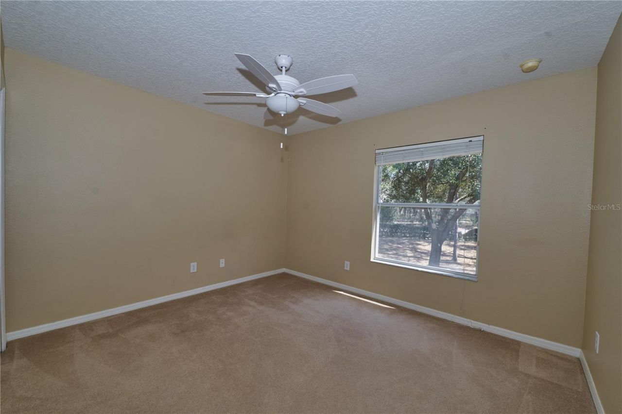 33840 Terragona Drive, Sorrento, FL 32776 Photo