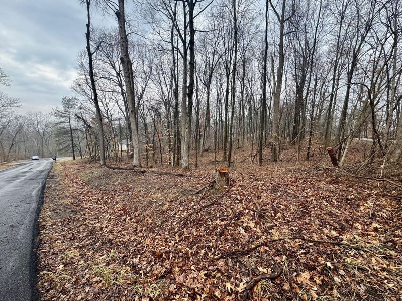 0 Forest Lane, Nashport, OH 43830 Photo 3