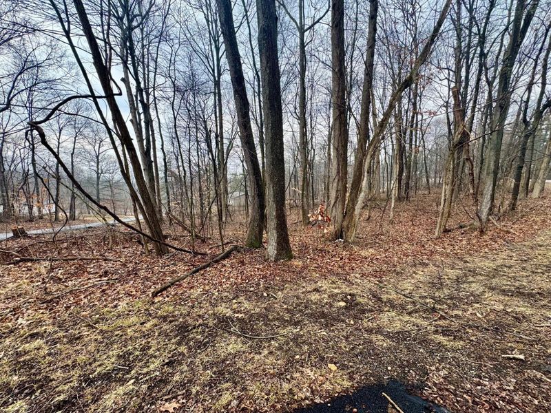 0 Forest Lane, Nashport, OH 43830 Photo 4