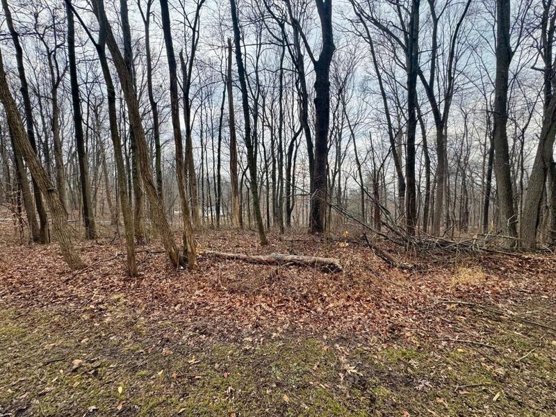 0 Forest Lane, Nashport, OH 43830 Photo 6