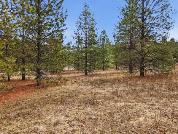 65xx Whispering Pines Way, Nine Mile Falls, WA 99026