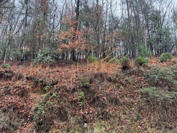 Lot 171 Beaver Lake Drive, Ellijay, GA 30540