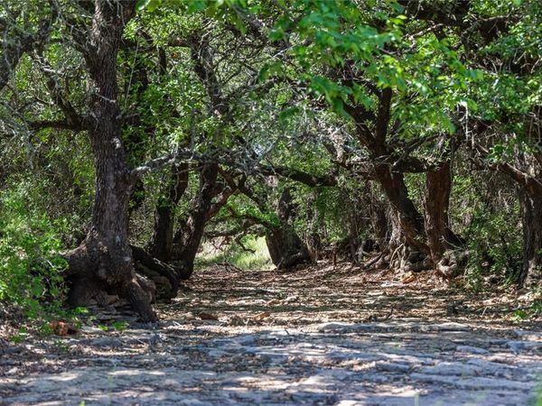 91 Acres Co Rd 370, Carbon, TX 76435