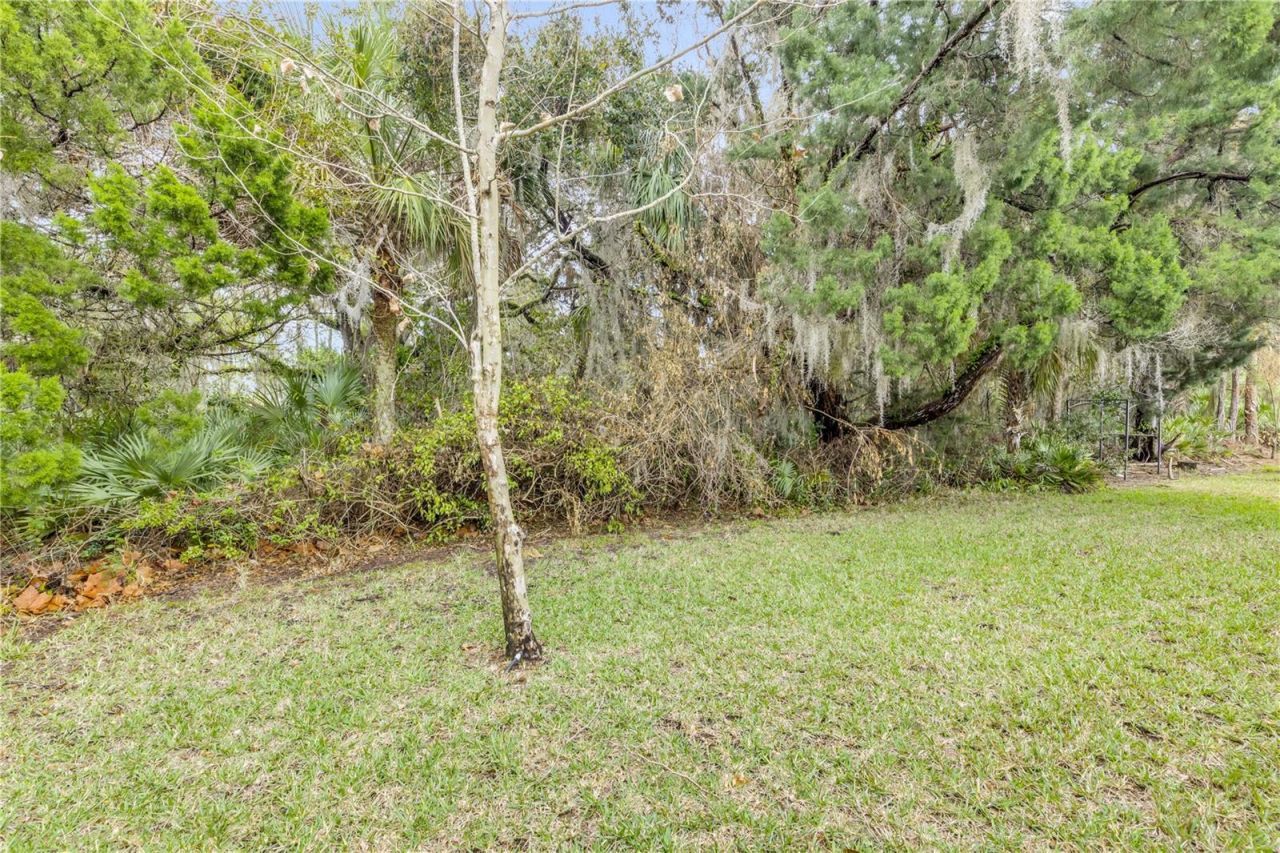 353 Admiralty Court , Edgewater, FL 32141 Photo