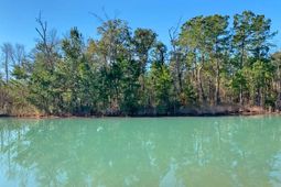 0 Old Pond Road photo 4