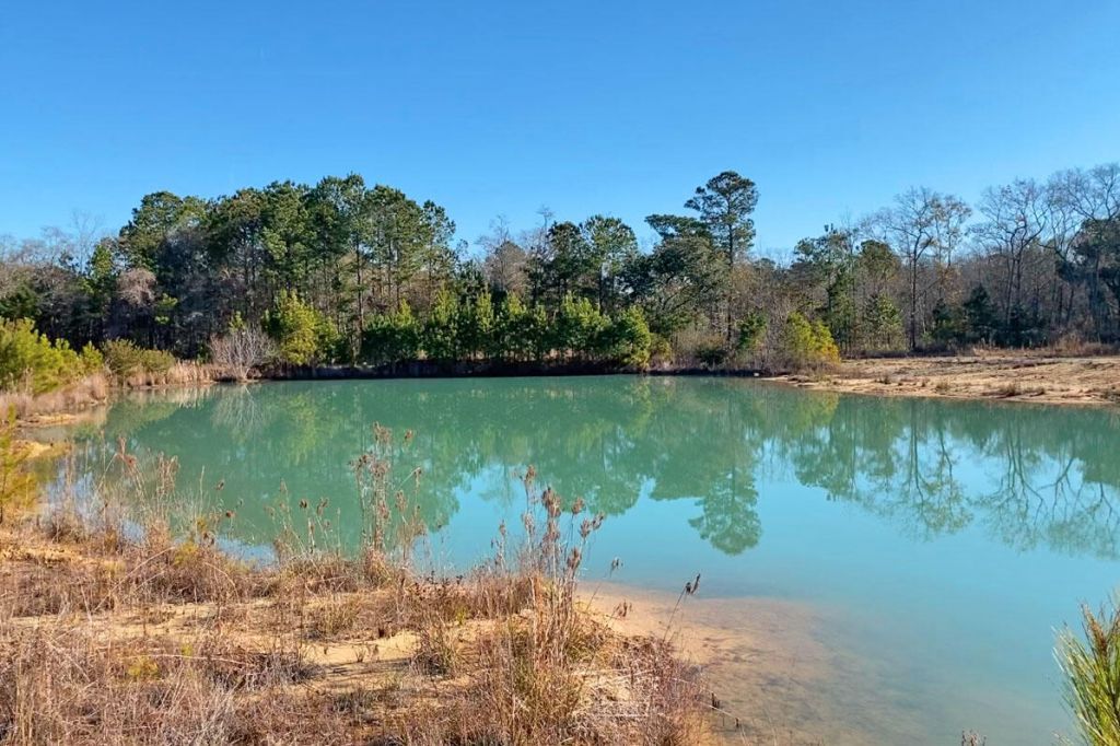 0 Old Pond Road Photo 7