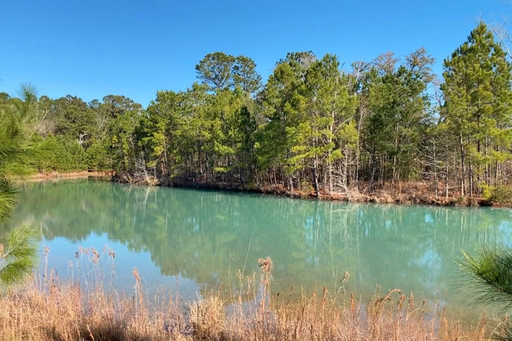 0 Old Pond Road Photo 9