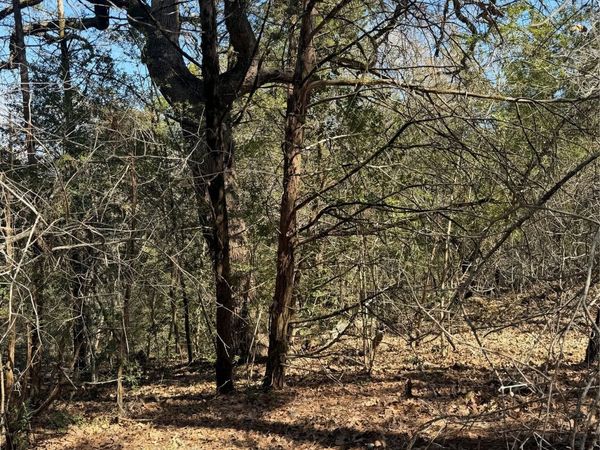 Lot 321 Keneka LN , Bastrop, TX 78602