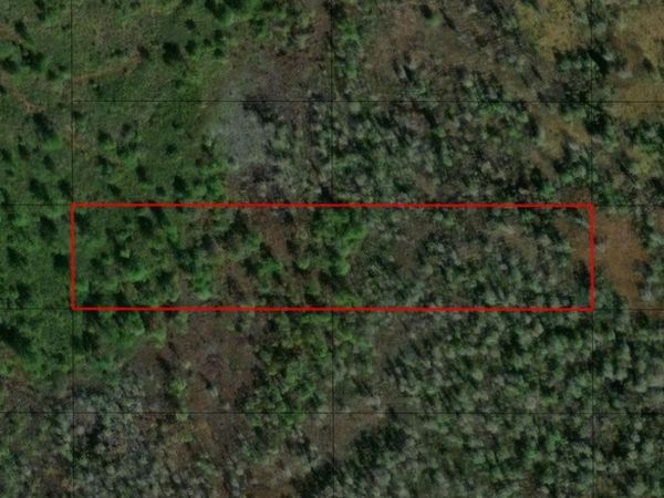 0 Old Grade Rd, Polk City, FL 33868