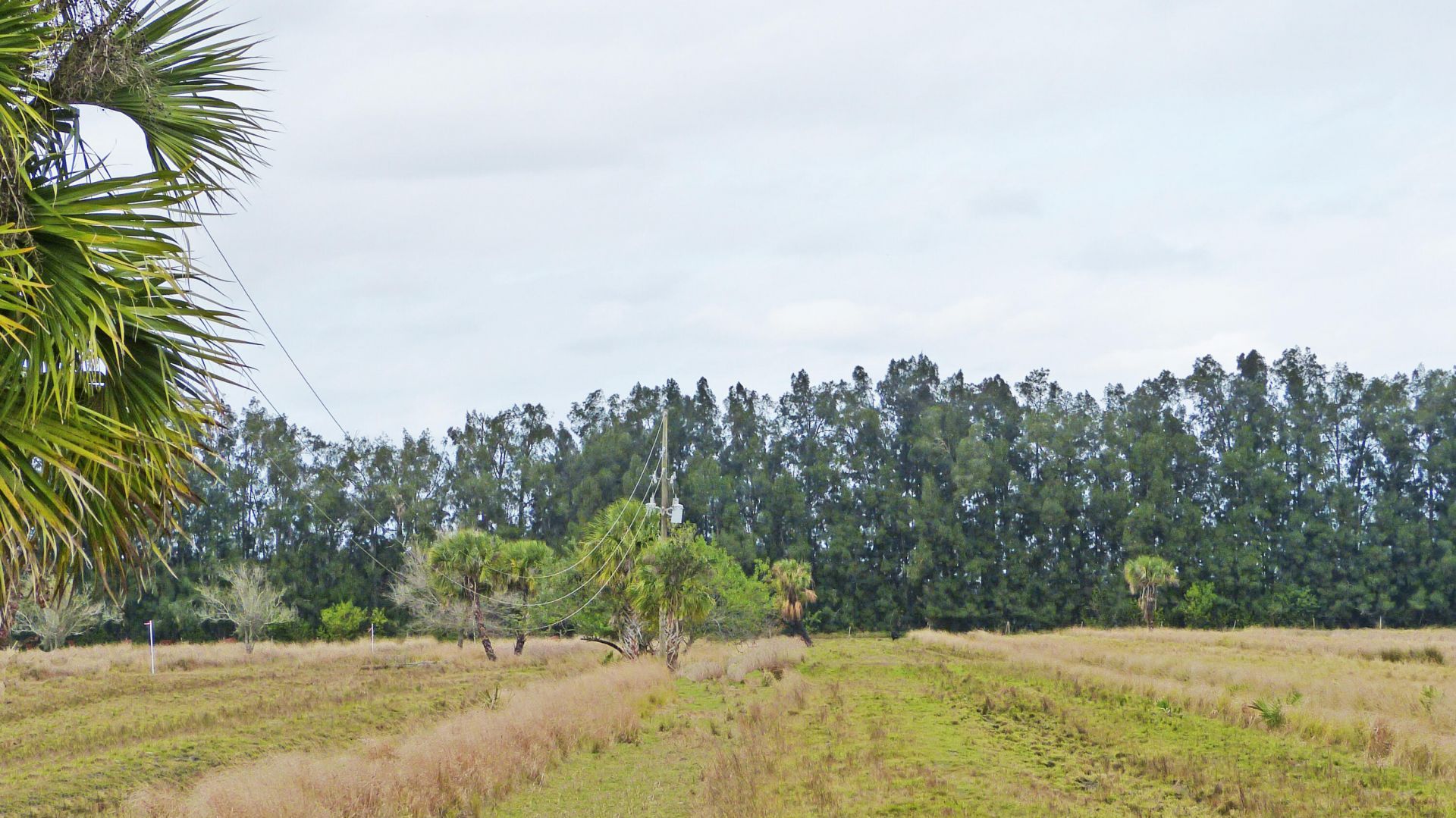 Tbd S Header Canal Road, Fort Pierce, FL 34945 Photo