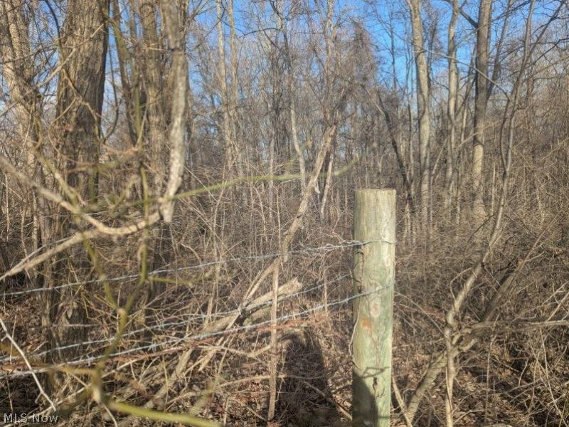 0 Township Road 215, New Lexington, OH 43764 Photo 3