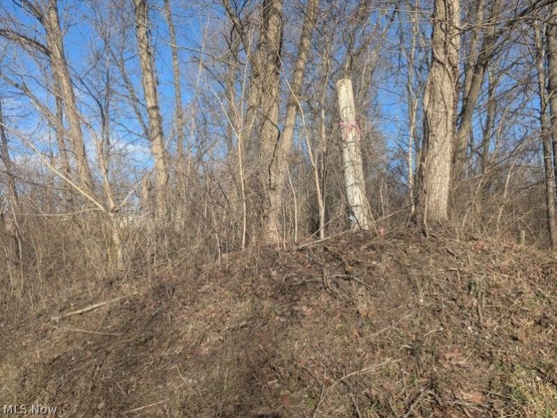 0 Township Road 215, New Lexington, OH 43764 Photo 5