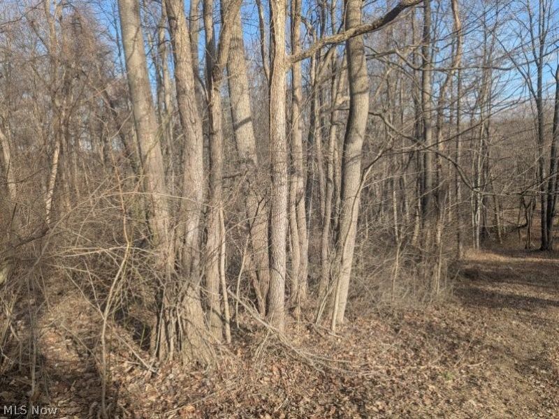 0 Township Road 215, New Lexington, OH 43764 Photo 6