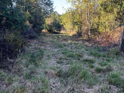 Ppf 12 Payne Pond Road, Unit Ppf 12, Westville, SC 29175