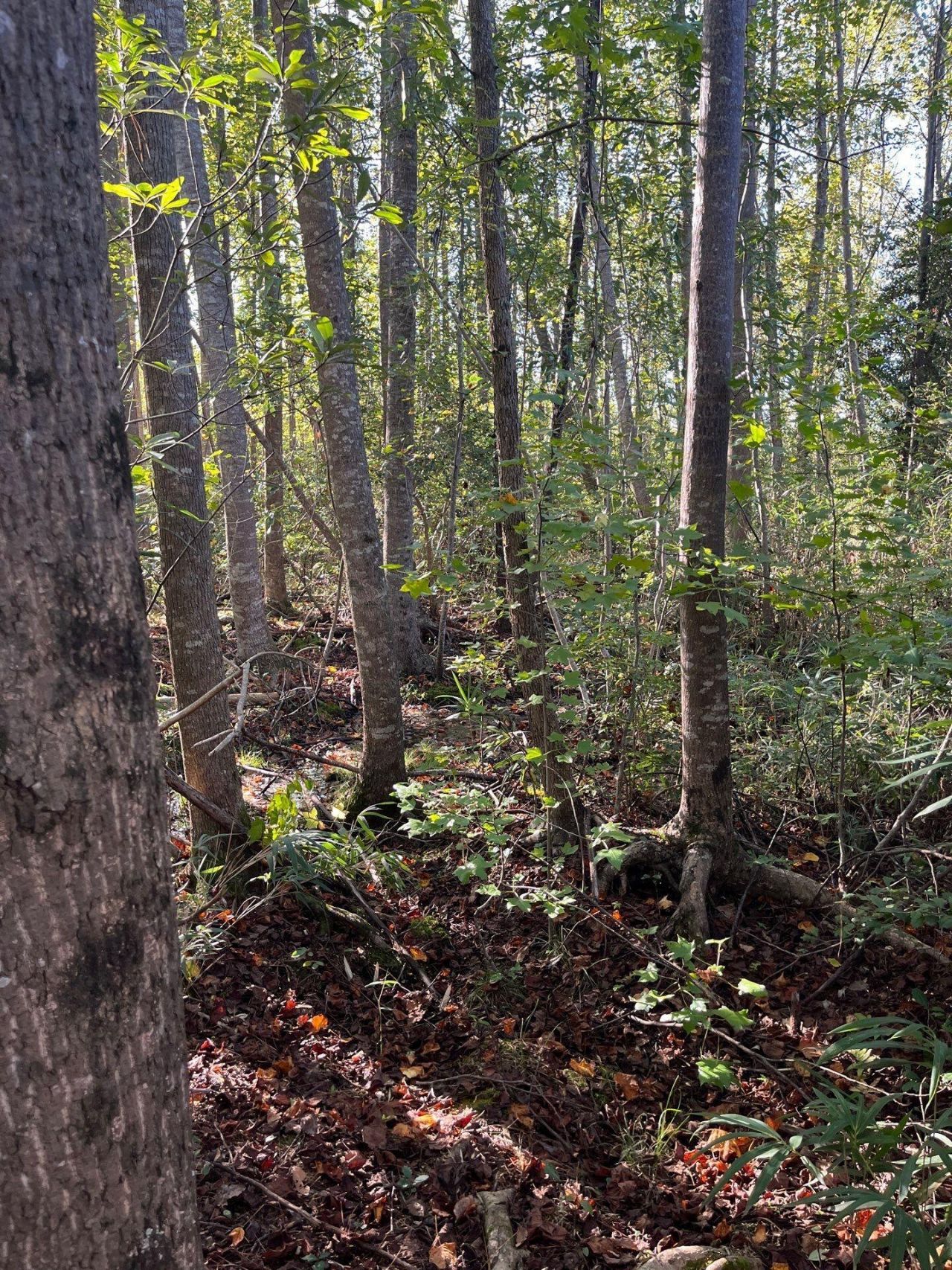 Ppf 12 Payne Pond Road Photo 11