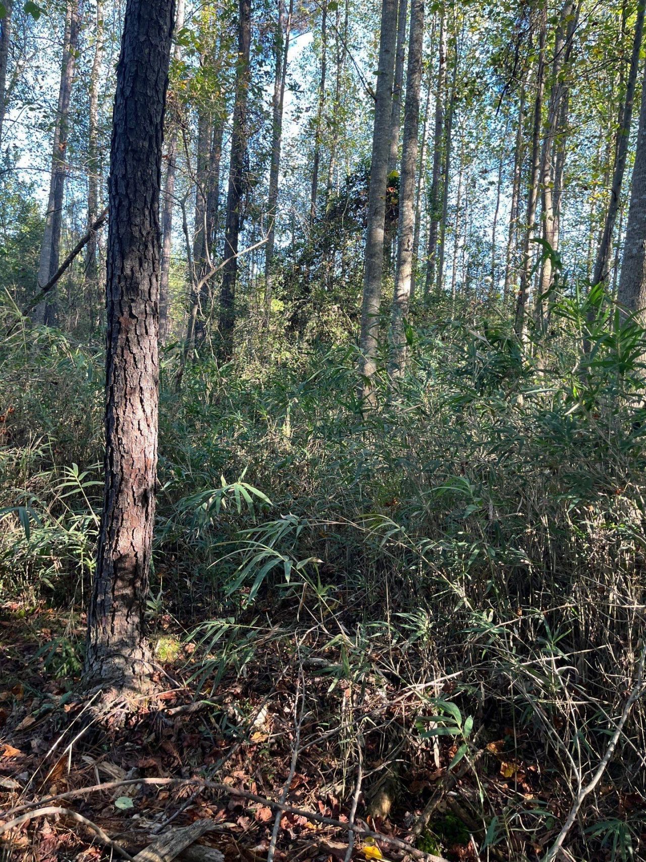 Ppf 12 Payne Pond Road Photo 12