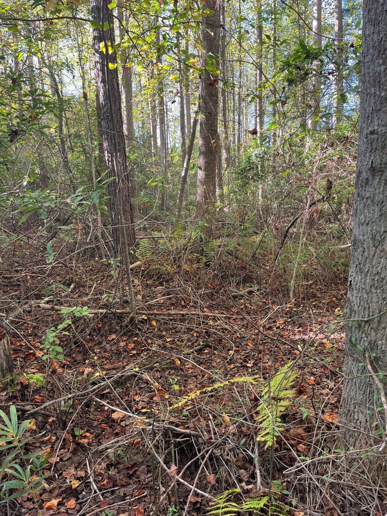 Ppf 12 Payne Pond Road Photo 13