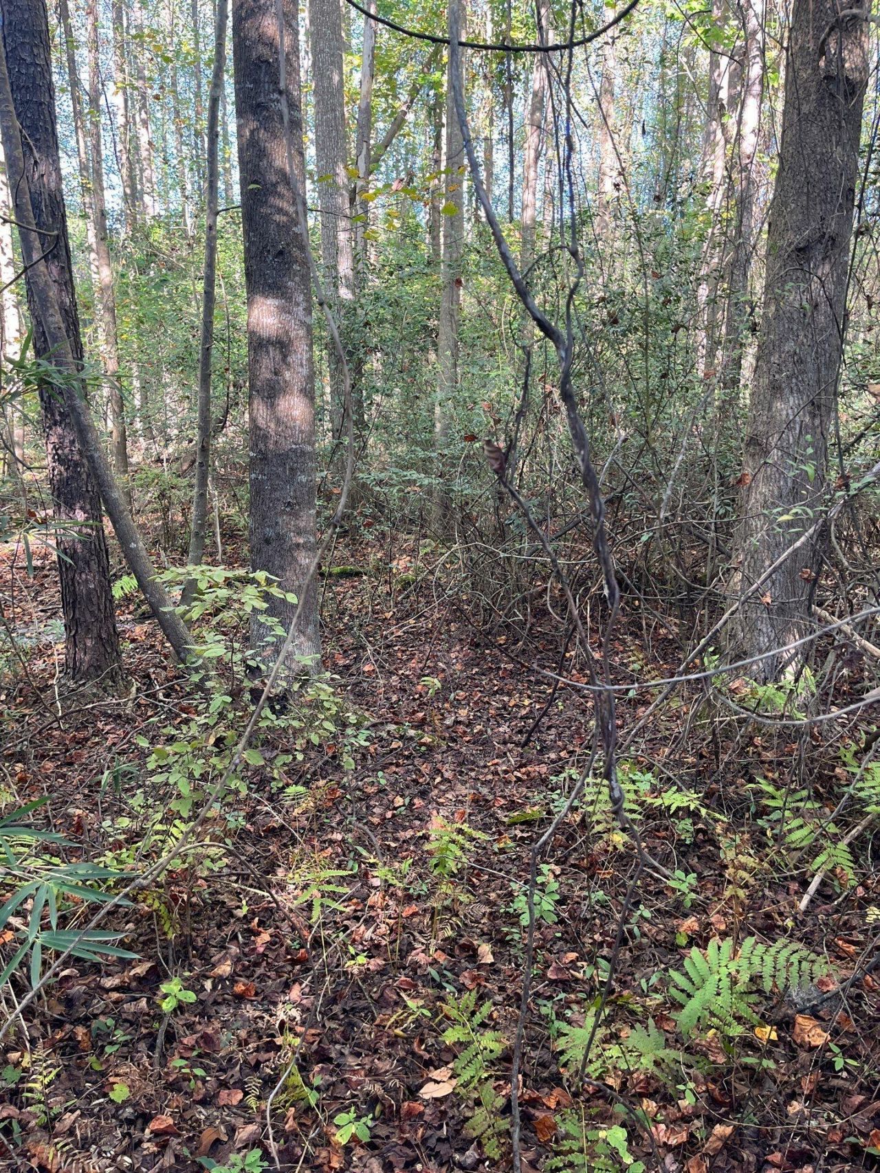 Ppf 12 Payne Pond Road Photo 15