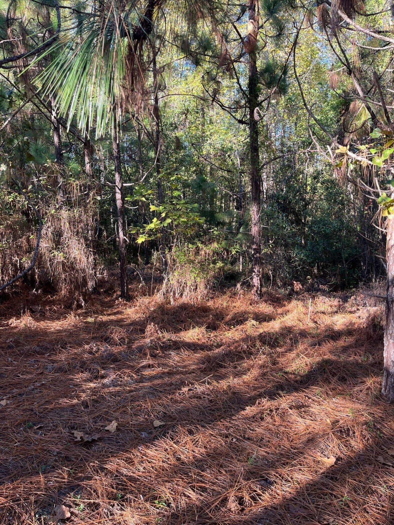 Ppf 12 Payne Pond Road Photo 18