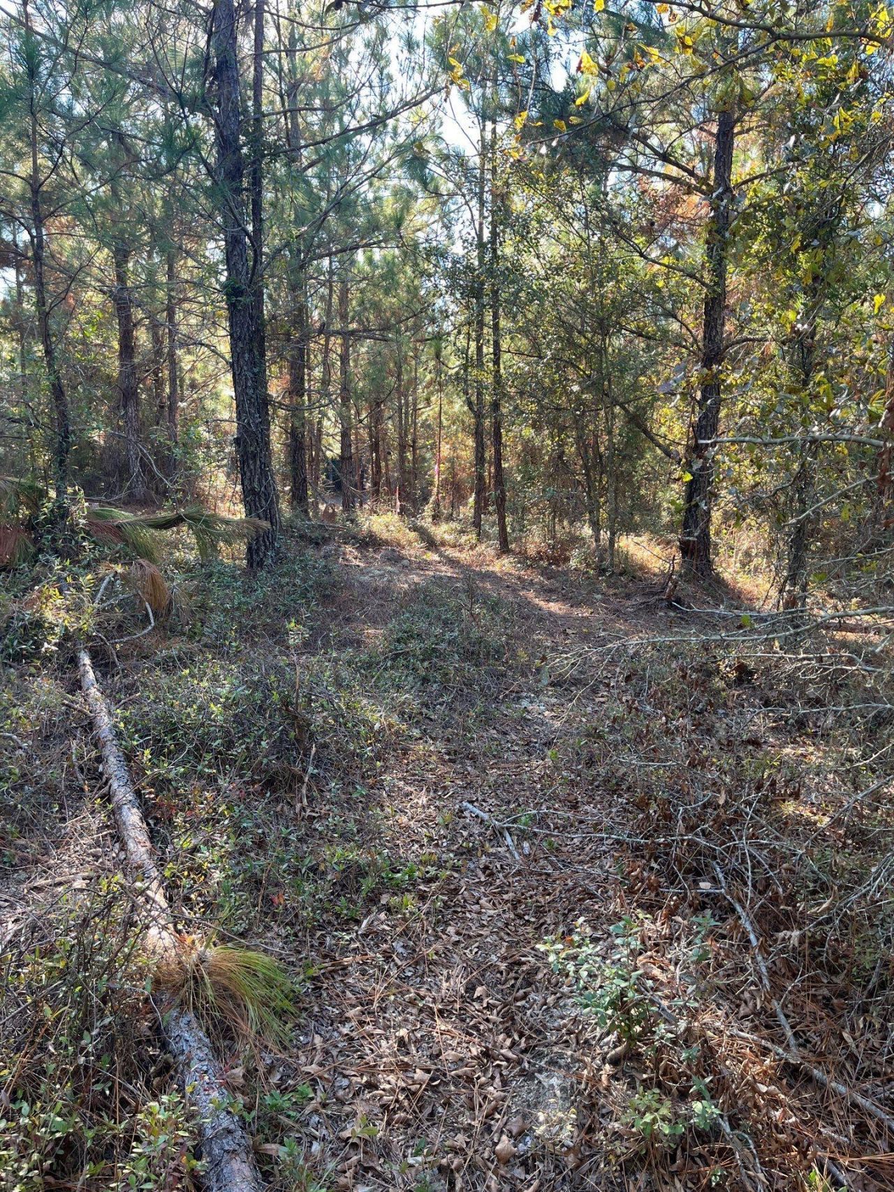 Ppf 12 Payne Pond Road Photo 20