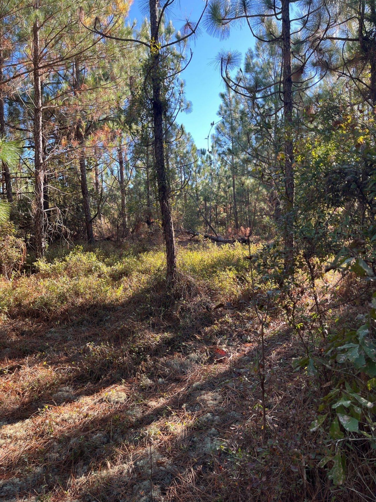 Ppf 12 Payne Pond Road Photo 22