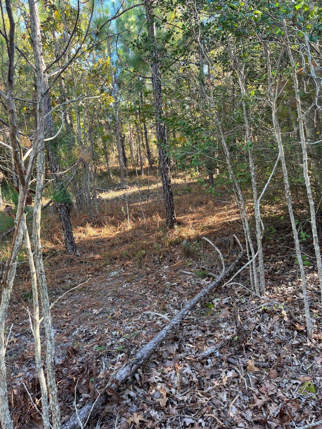 Ppf 12 Payne Pond Road Photo 25