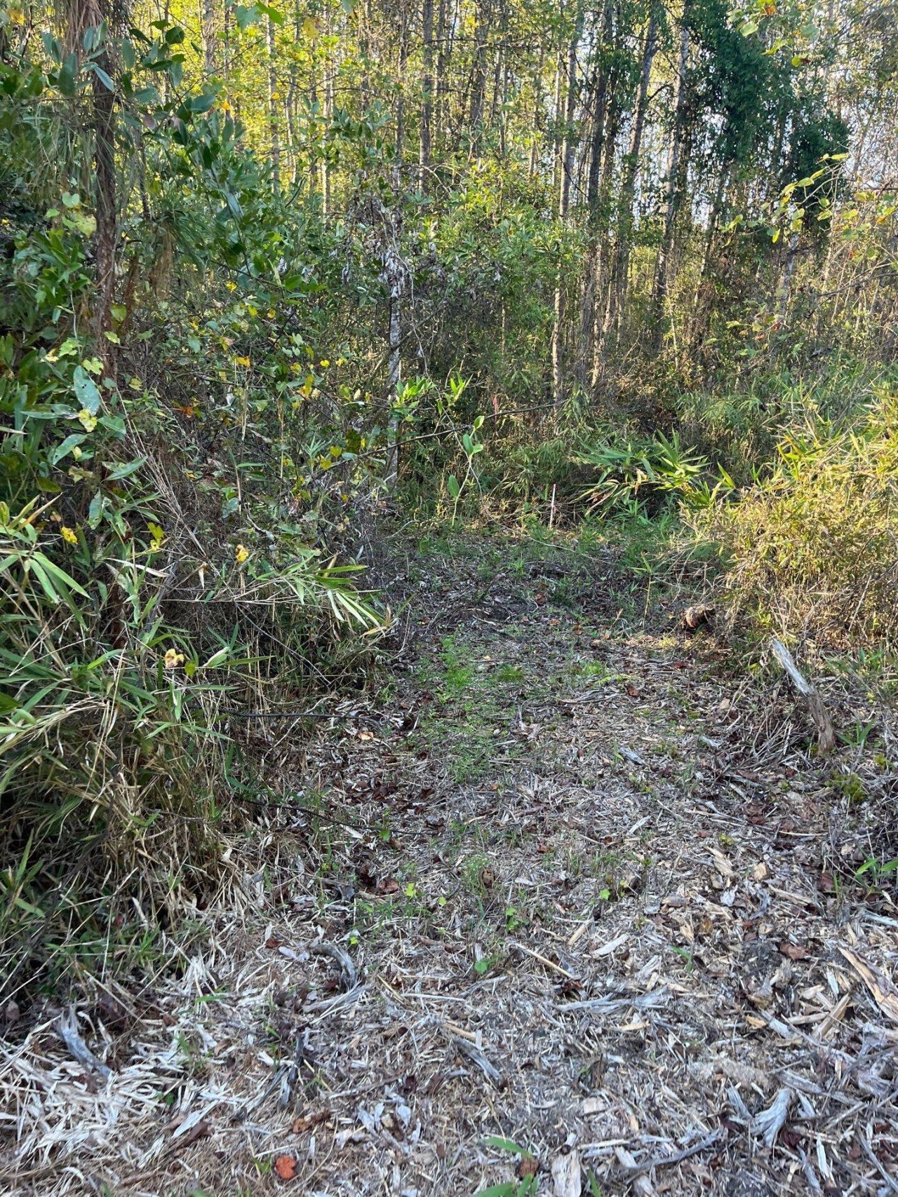 Ppf 12 Payne Pond Road Photo 26