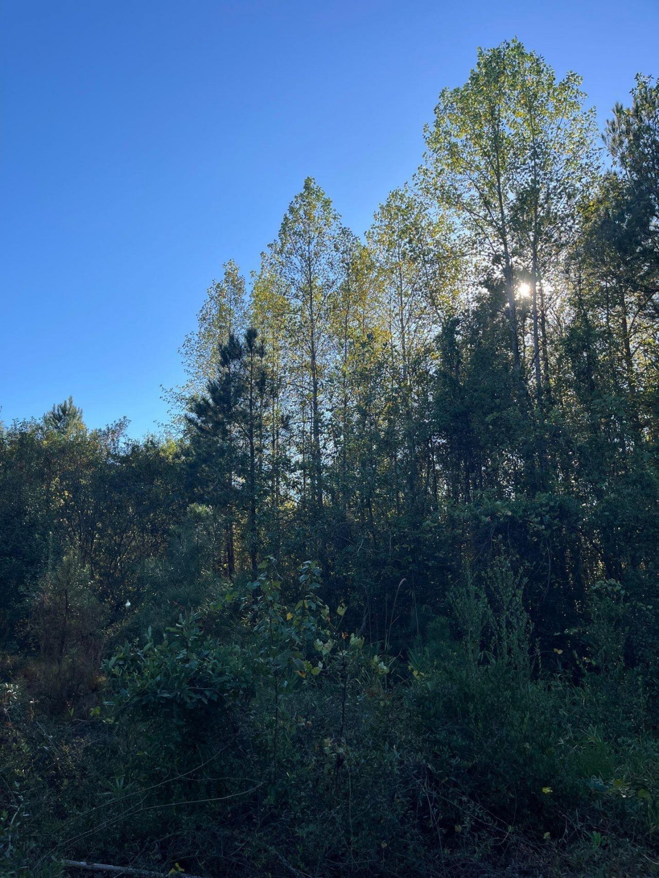 Ppf 12 Payne Pond Road Photo 28