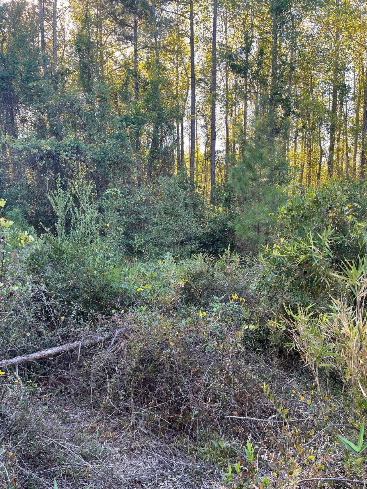 Ppf 12 Payne Pond Road Photo 29