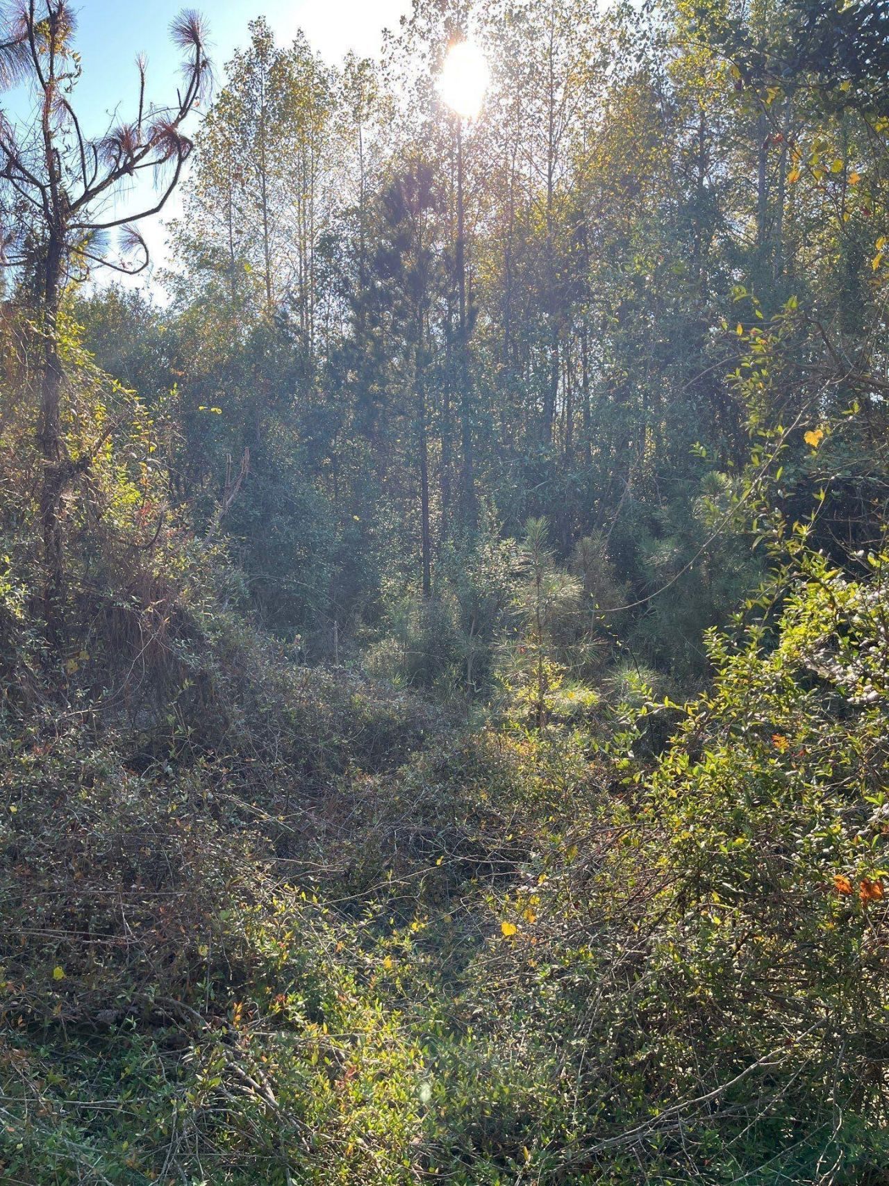 Ppf 12 Payne Pond Road Photo 30