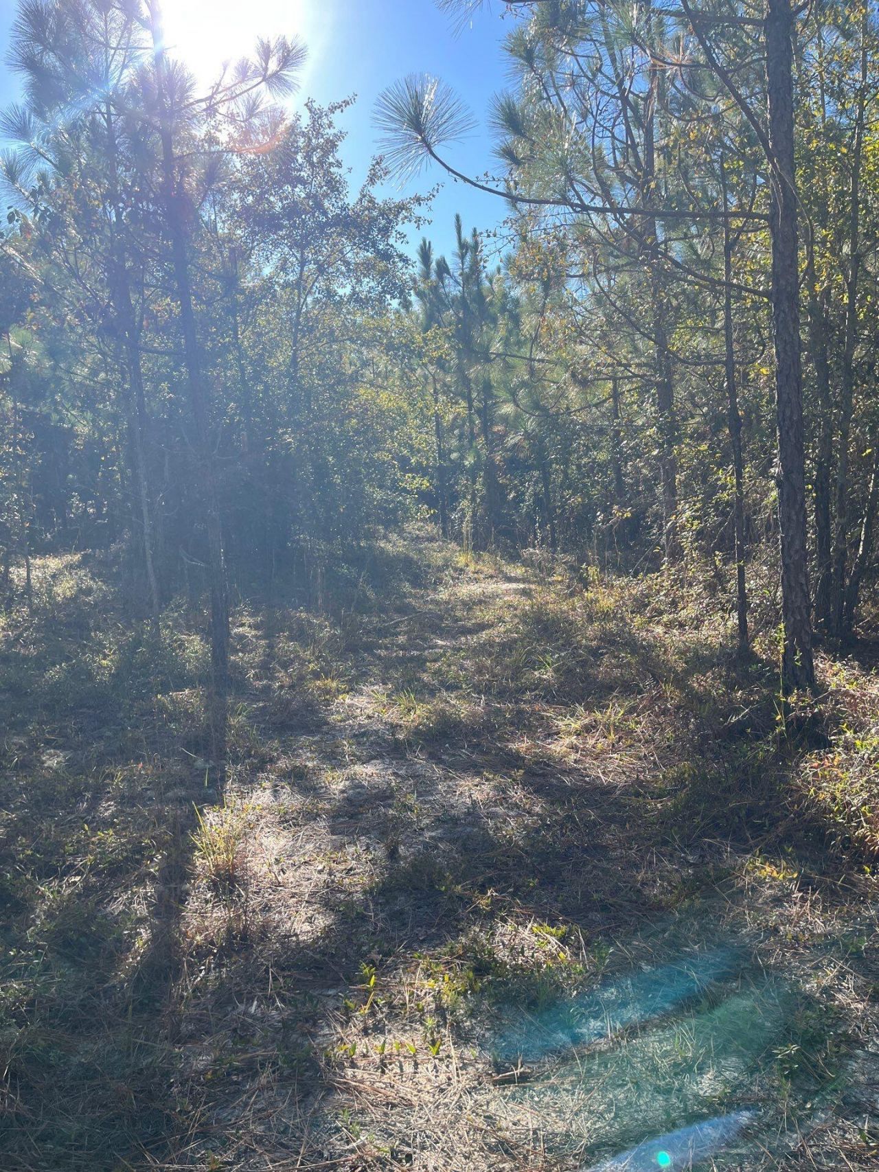 Ppf 12 Payne Pond Road Photo 32