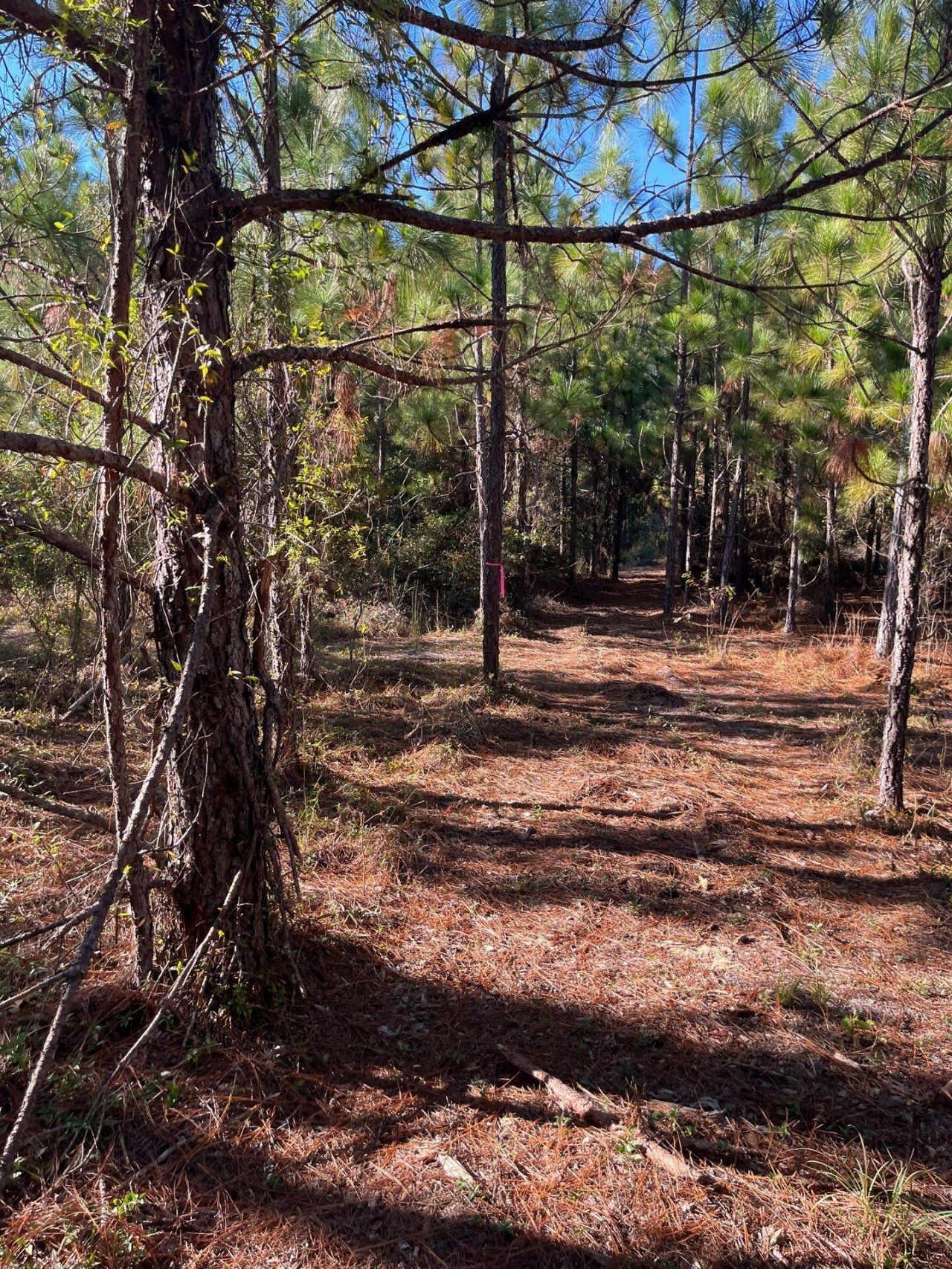 Ppf 12 Payne Pond Road Photo 33