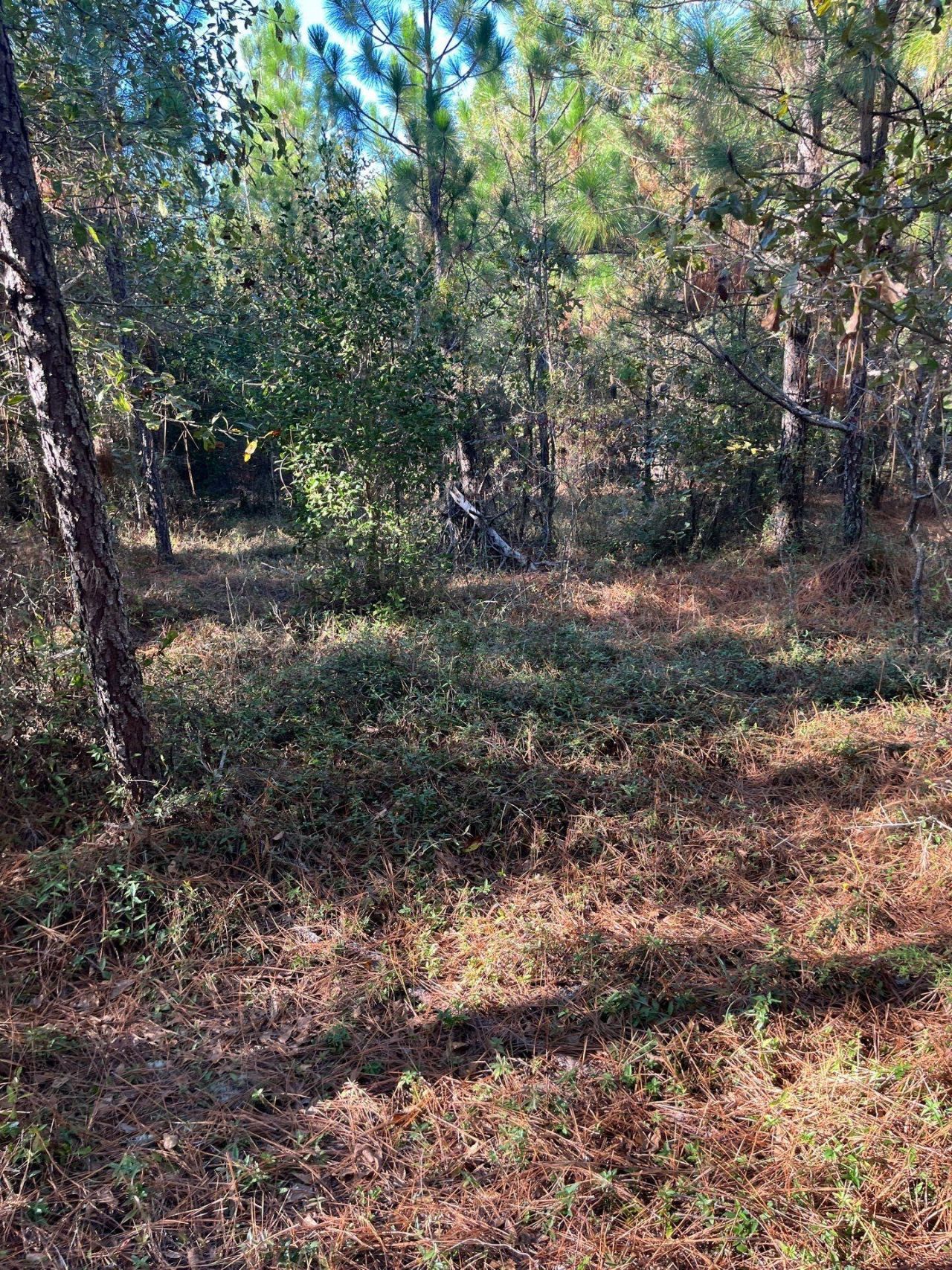 Ppf 12 Payne Pond Road Photo 38